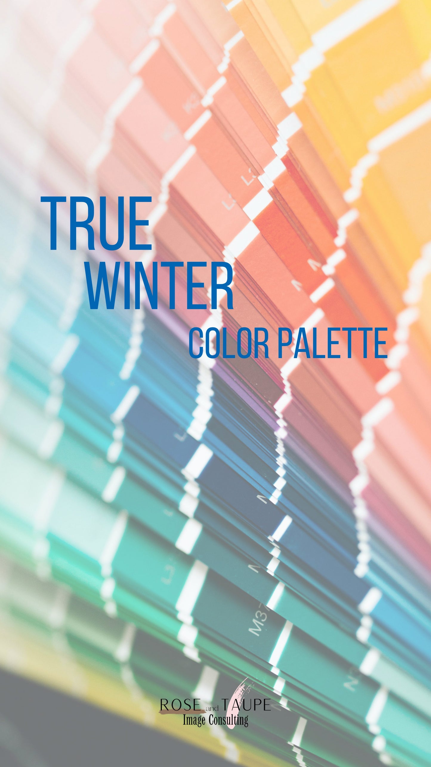 True Winter Color Palette