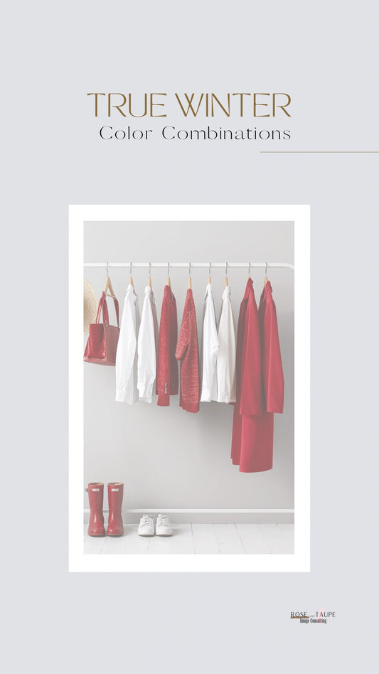 True Winter Color Combinations Guide