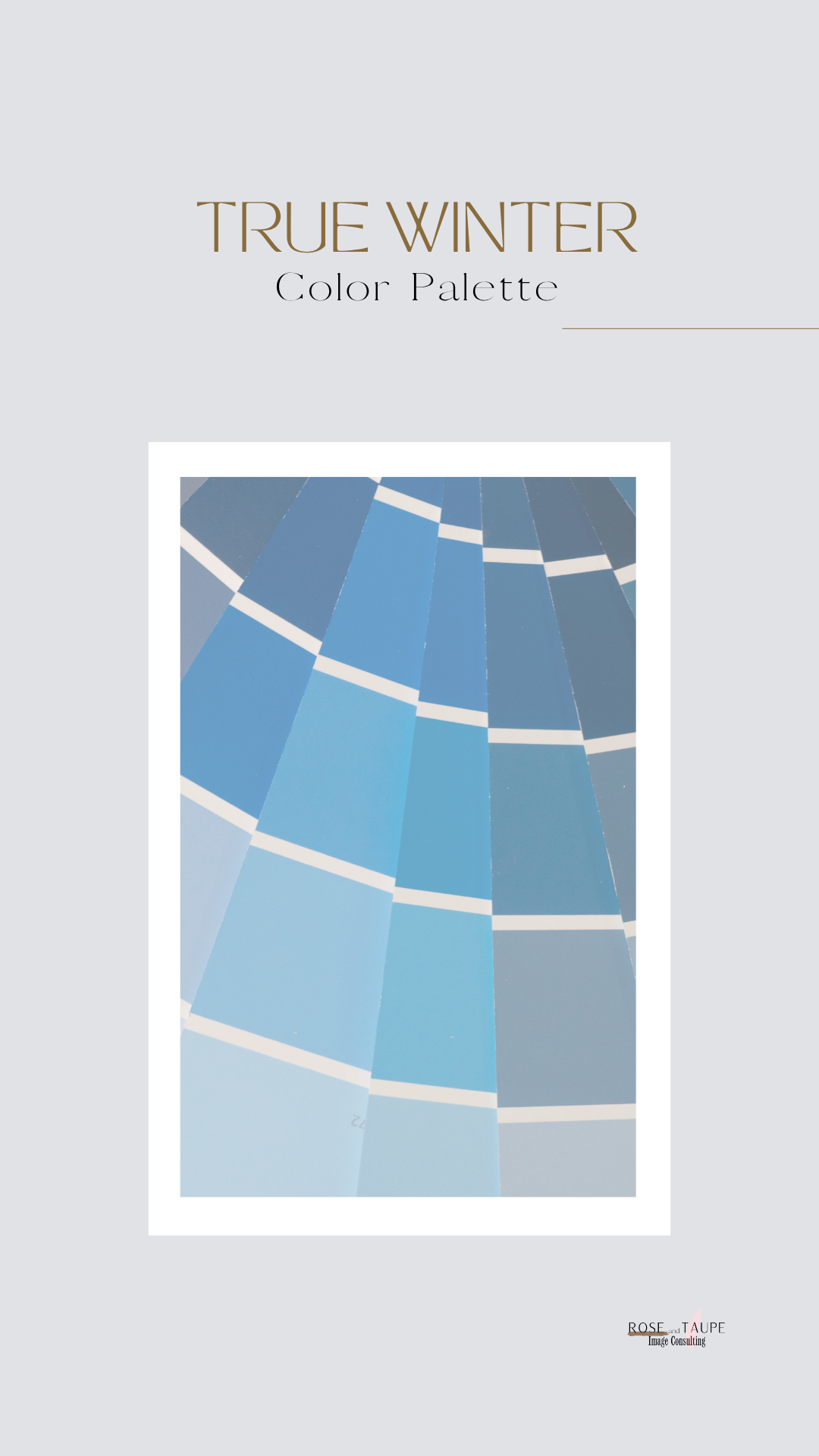 True Winter Color Palette