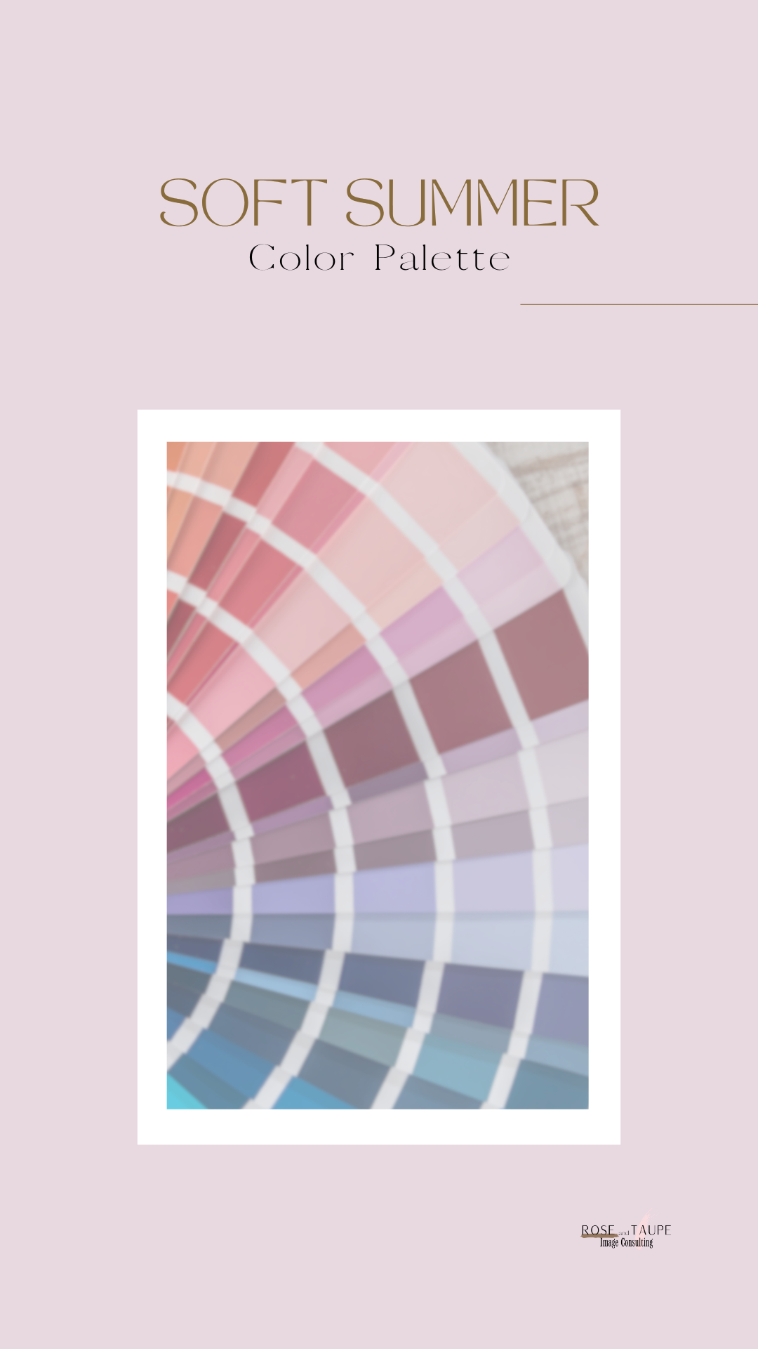 Soft Summer Color Palette