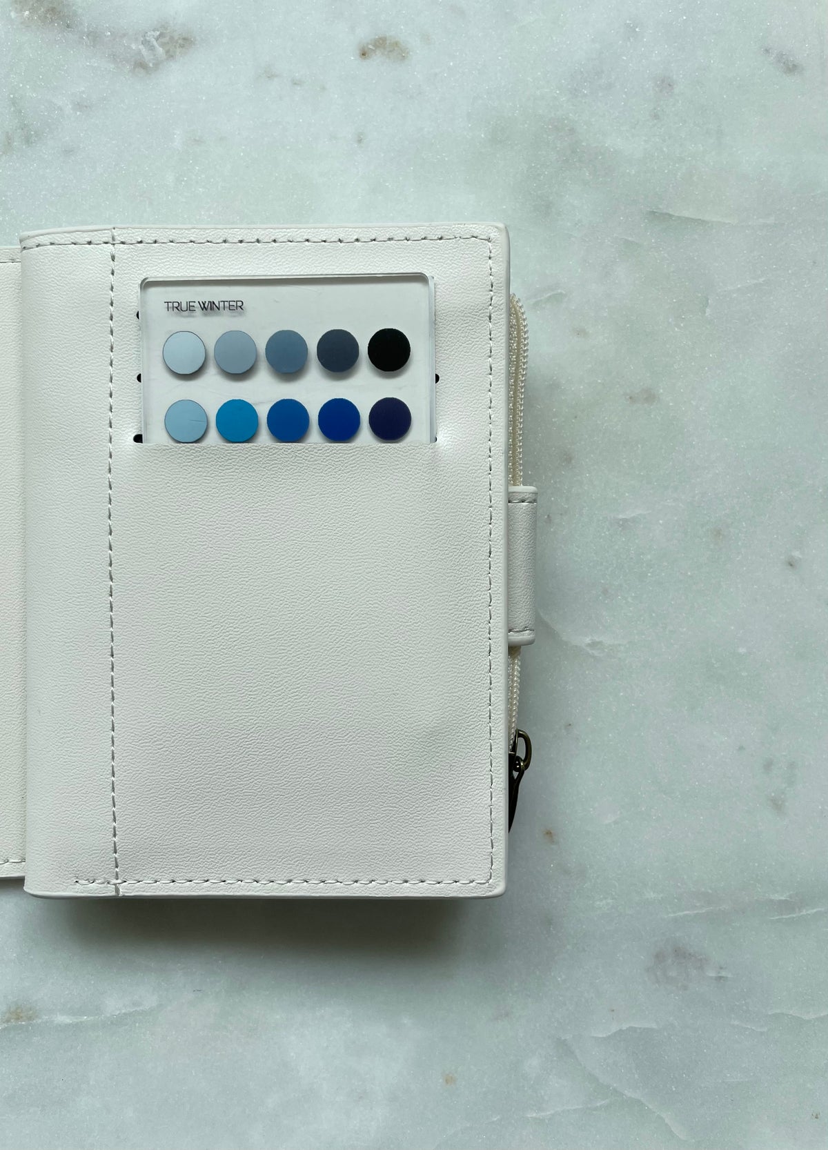 True Winter Color Analysis Wallet Card