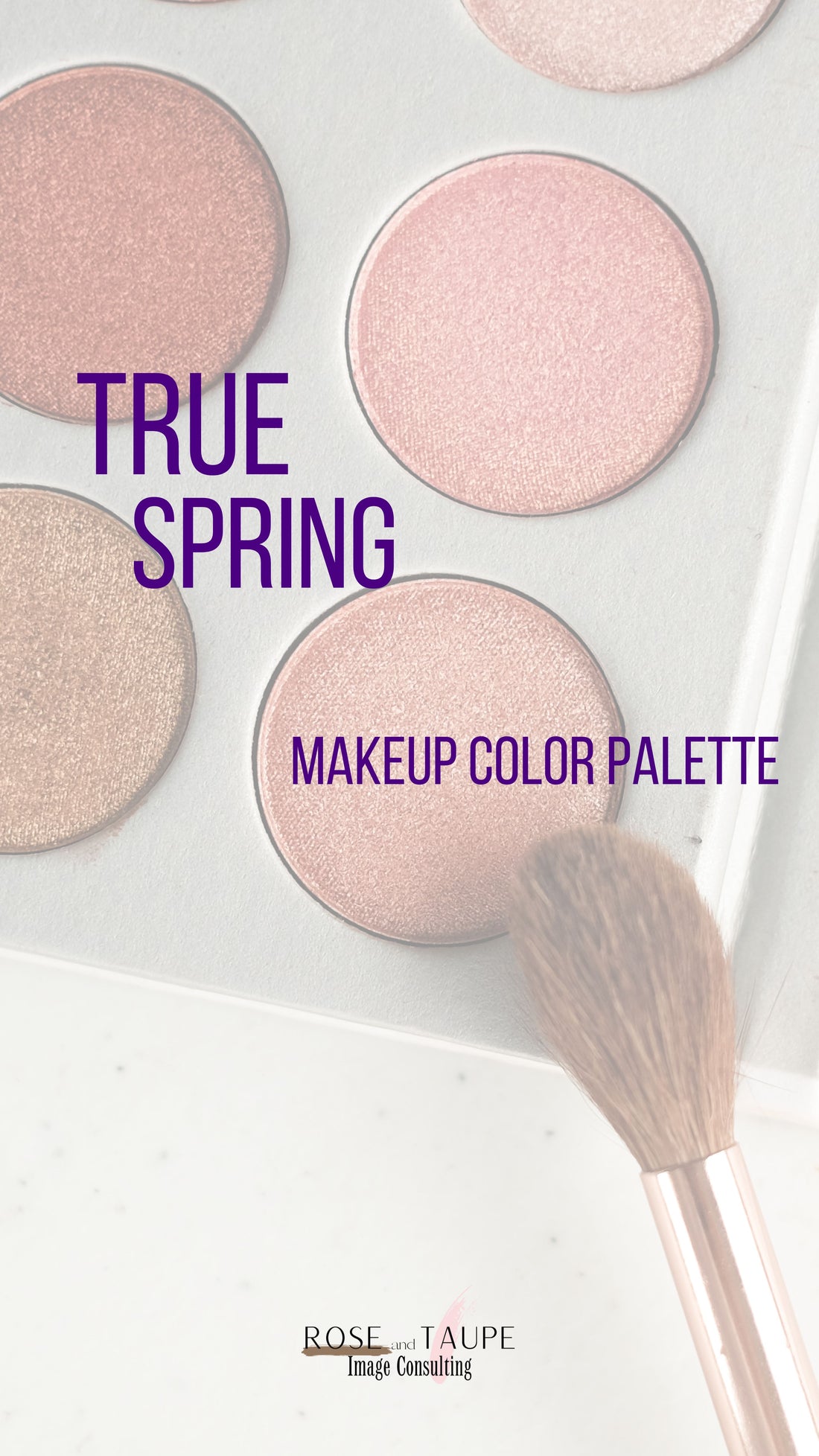 True Spring Makeup Color Palette – Rose and Taupe Image Consulting